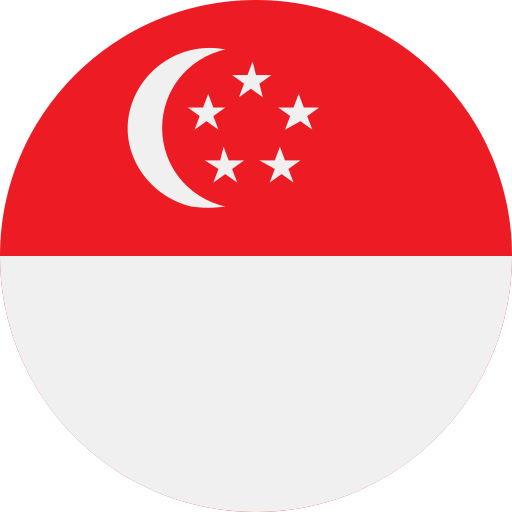 singapore SEO